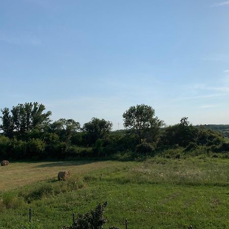 Feher Orchidea Apartman Egerszalók Exteriér fotografie